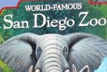 San Diego Zoo Tour